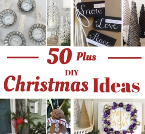 The 50 Best DIY Christmas Ideas!