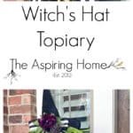 picture of finished witch's hat topiary DIY