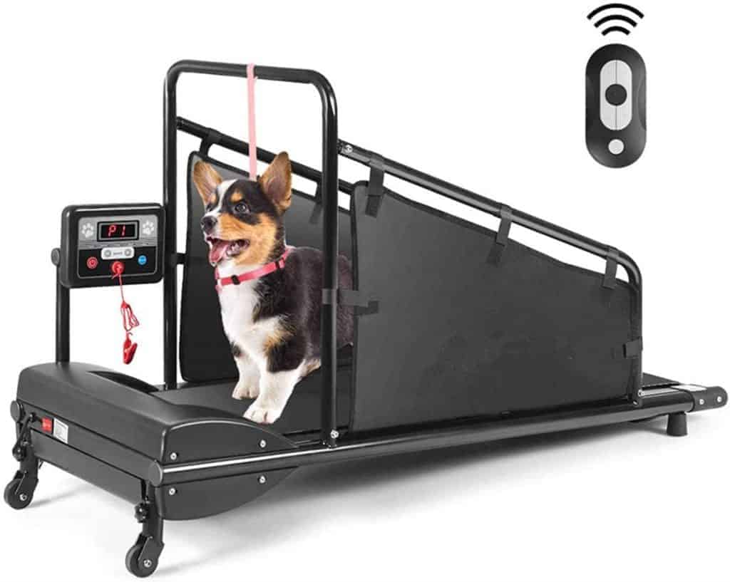 Pet treadmill