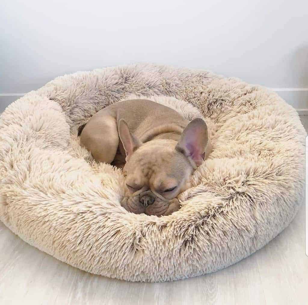 anti anxiety dog bed