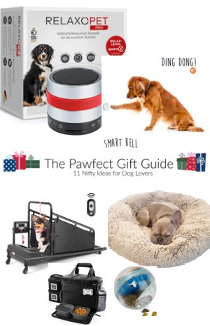 11 Nifty Ideas For Dog Lovers & Fur Babies